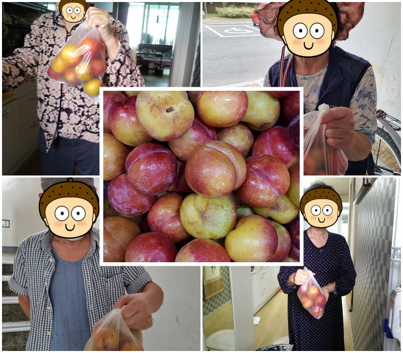 [노인맞춤돌봄서비스] 자두 식료품 연계지원