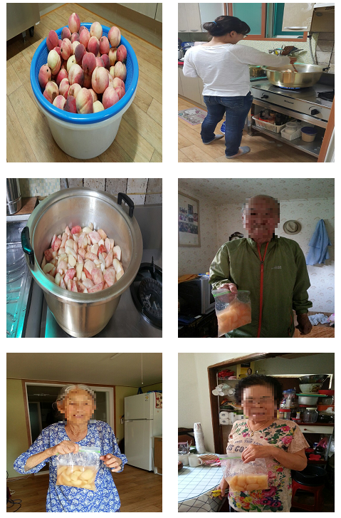 수제 간식(복숭아조림) 지원